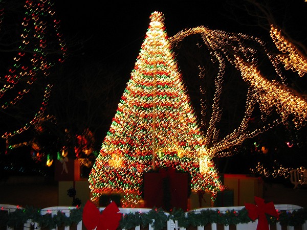 wildlights at zoo 028.jpg